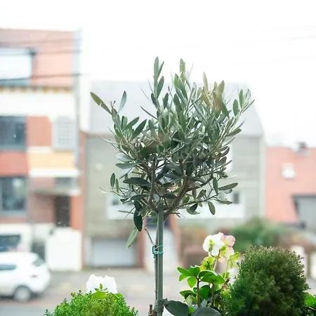 여관 Le Vivier Cote 아미앵