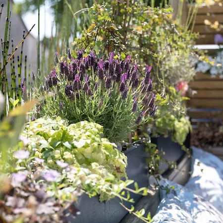 Mini-hôtel Le Vivier 3*