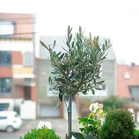여관 Le Vivier Cote 3*