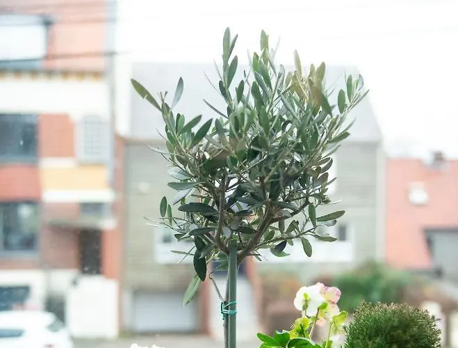 Herberg Le Vivier Cote Amiens