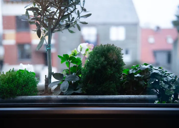 Le Vivier Cote Amiens