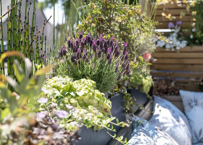 Mini-hôtel Le Vivier 3*